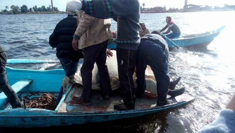 حادث فوة