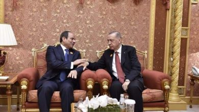 السيسي وأردوغان يؤكدان ضرورة الوقف الفوري للعمليات العسكرية في قطاع غزة