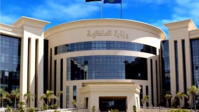 الداخلية تكشف ملابسات فيديو لسيدة تتعدى على المواطنين