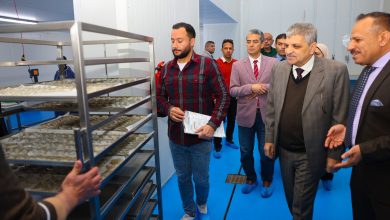 صور| الفريق أسامة ربيع يشهد التشغيل التجريبي لمصنع تعبئة وتغليف الأسماك والجمبري بشركة الاستزراع المائي