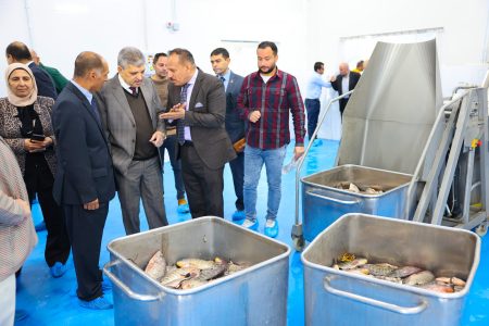 التشغيل التجريبي لمصنع تعبئة وتغليف الأسماك3