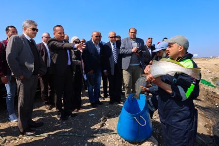 التشغيل التجريبي لمصنع تعبئة وتغليف الأسماك4