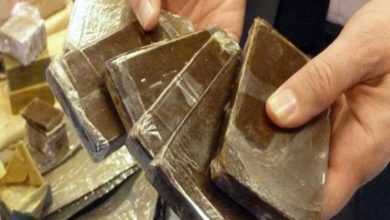 إحباط محاولة تهريب كميات من الحشيش بمحور قناة السويس