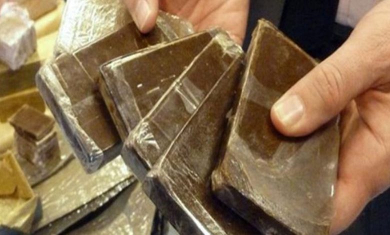 بروباجندا